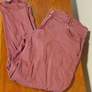 Vanity Jeggings 34
